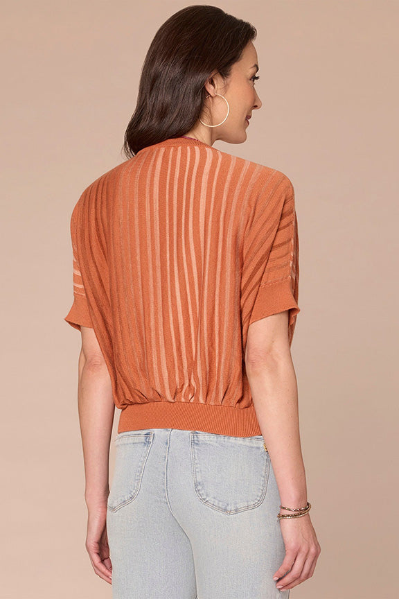 Dolman Sleeve Stripe Sweater