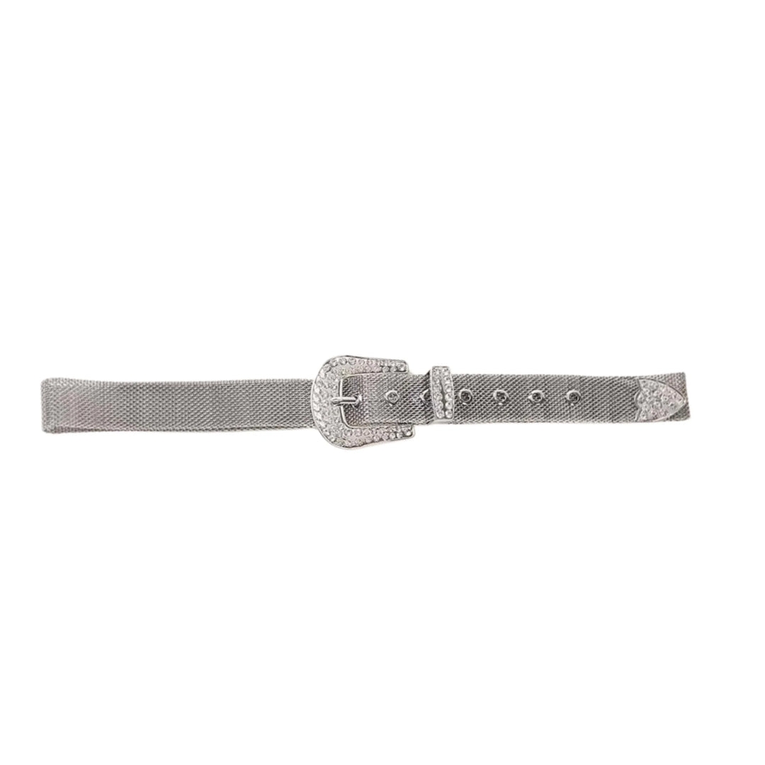 Metallic Mesh and Rhinestone Belt