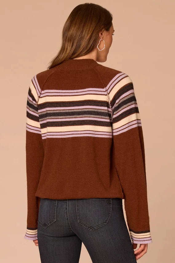 Long Sleeve Sweater with Placement Stripe in Brown
