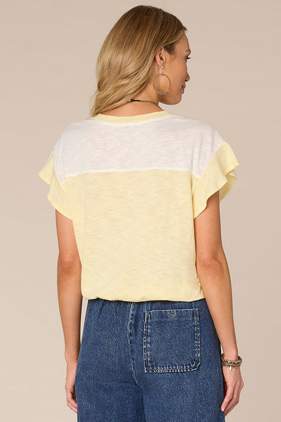 Color Block Print Mixed Media Knit Top with cap sleeve