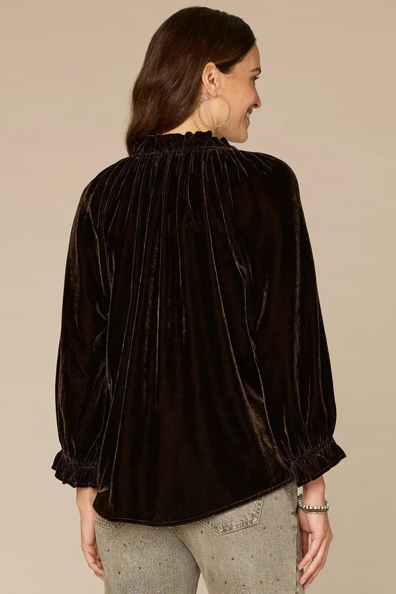 Ruffle Neck Velvet Blouse