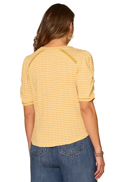 Short Sleeve Stripe Knit Top in Tuscan Sun